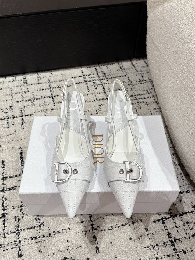 Dior Pre-Spring Bestseller Top Version Pointed-Toe High-Heel Shoes This High-Hee