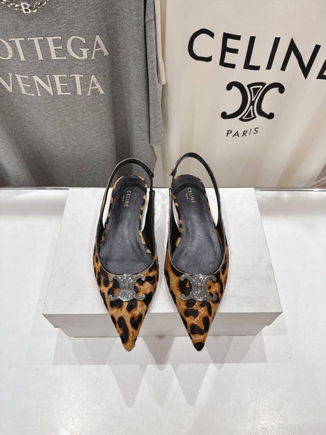 High-End Version, Celine 25Ss Early Spring's Most Beautiful Black And Silver Poi