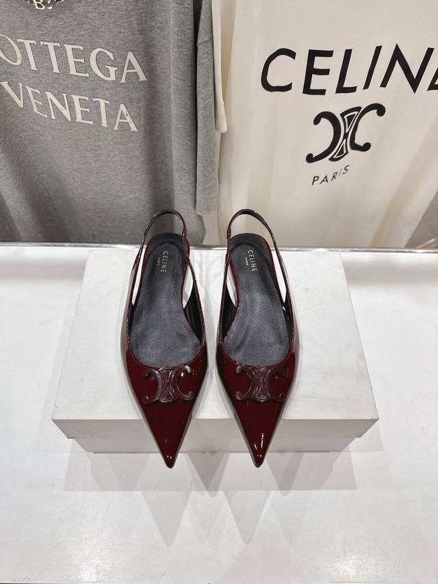 High-End Version, Factory-Direct. Celine 25Ss Early Spring's Most Beautiful Blac