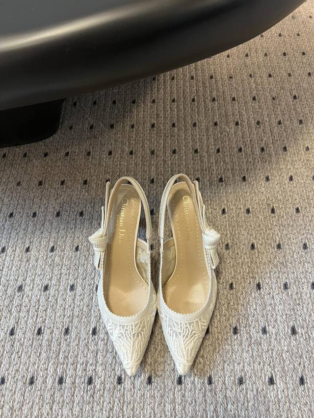 Top-Tier Version Dior 25Ss Classic Pointed-Toe Kitten-Heel High-Heel Shoe Embody