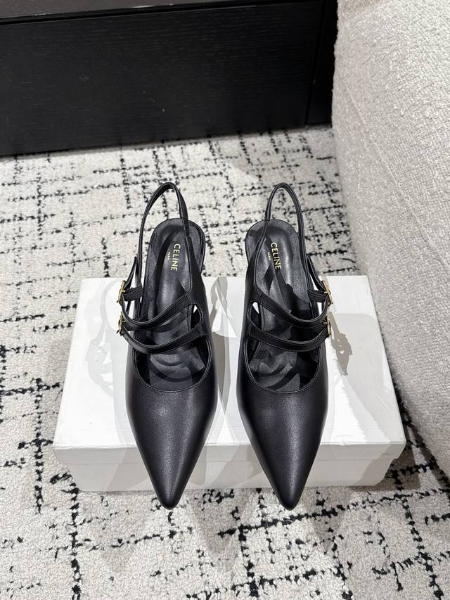 Celine Celine 25 Early Spring New Arrival Spring/Summer New Arrival Pointed Toe
