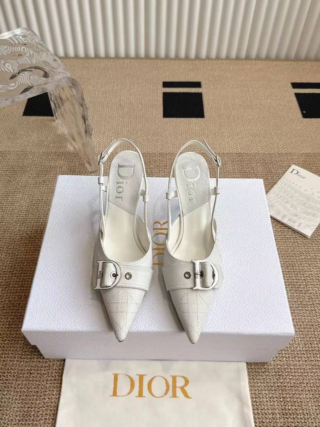 Dior. Dior Pointed-Toe Mule Sandals For Women Dior Pre-Spring, Celebrity-Inspire