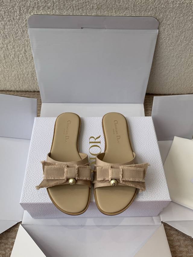 Offizielle Website, Synchronisiert Mit Dem Flugzeugkarton Dior 24Ss Cd-Schleifen