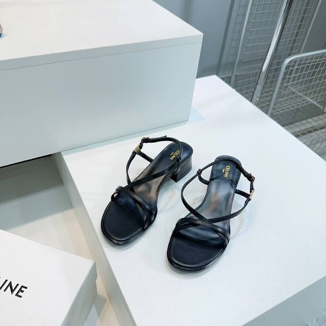 High-Quality Factory-Direct! Top-Tier Quality Celine 2025 Spring/Summer New Arri