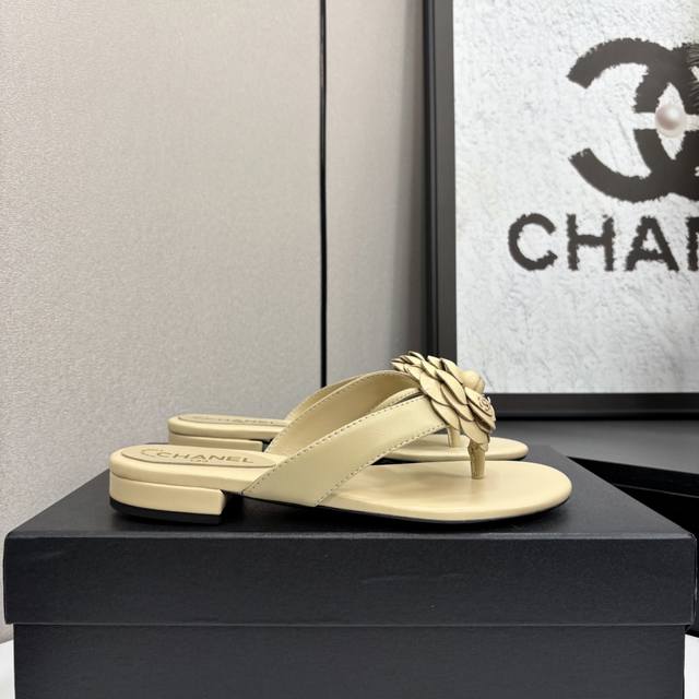 2025 A Versatile Series Worn By Numerous Celebrities And Influencers, This Sanda