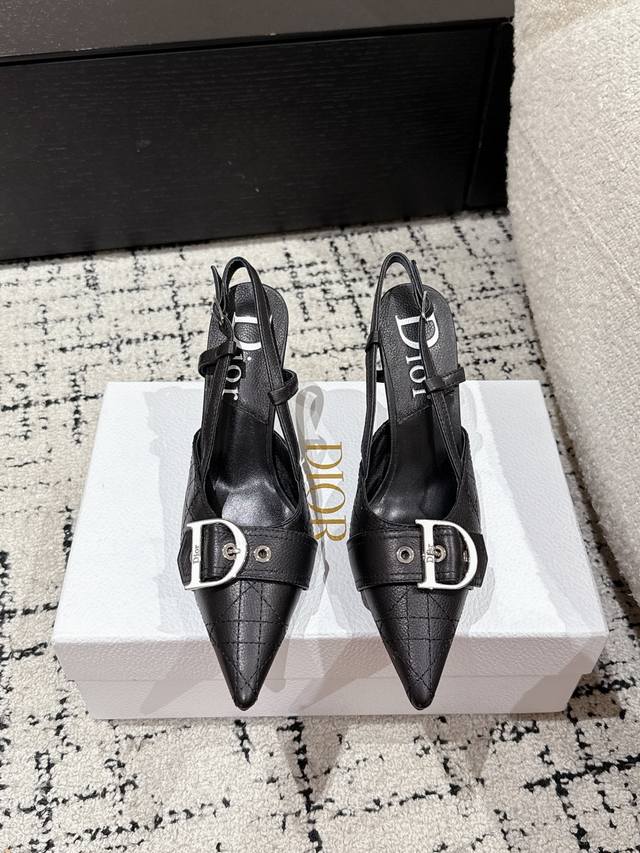Dior Early Spring Hot Product Top Edition Pointed High Heels This High Heel Rein