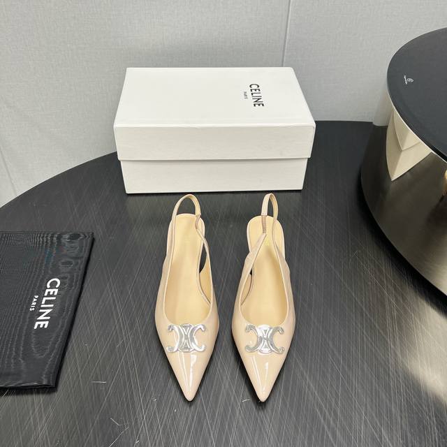 Factory: High Version Celine 2025Vs Pointed Toe Buckle Single Shoes Matched With