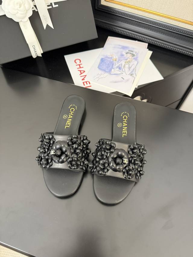 Available Now *25 Counter Genuine Version!! Official Catalog: Size: 35, 36, 37,