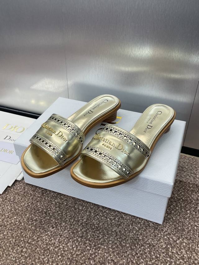 Factory P Price P Dior 2025 Spring And Summer New D-Lane Jelly Color Hollow Thic