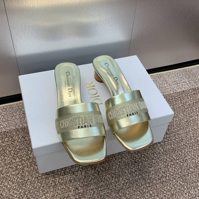 Factory P Price P Dior Dior Spring And Summer New Dway Flat Flip Flops Color Mat