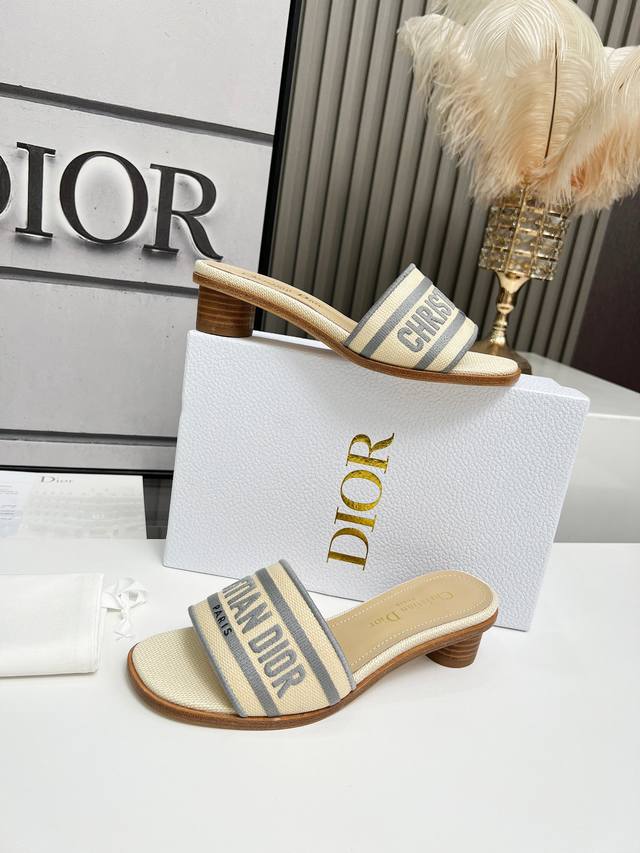 Cd Dior Women's Presbyopia Embroidered Leather Sole High Heels Christian Dior Ha