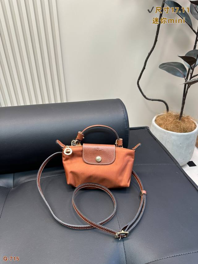 Size 17.11 Longchamp Mini Dumpling Bag Fashionable And Well Matche D Not Old-Fas