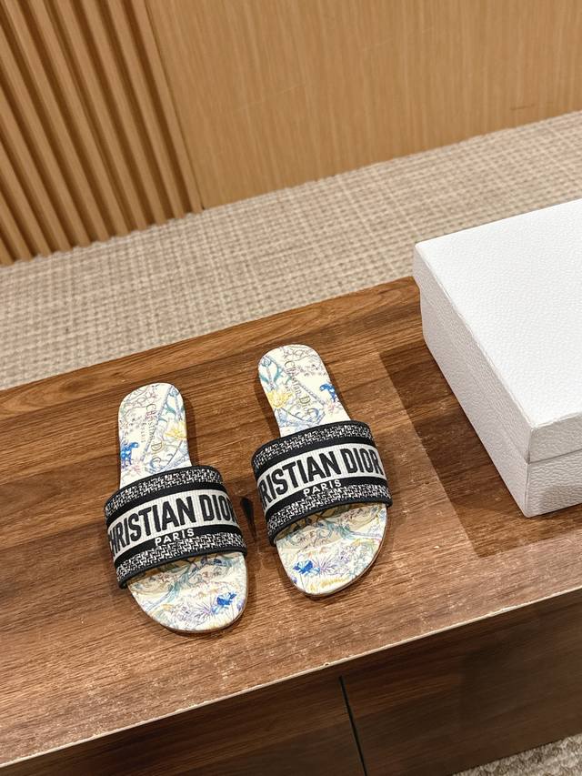 Featured Style: Flat And High-Heel Dior Spring/Summer New Upgrade Embroidered Sl