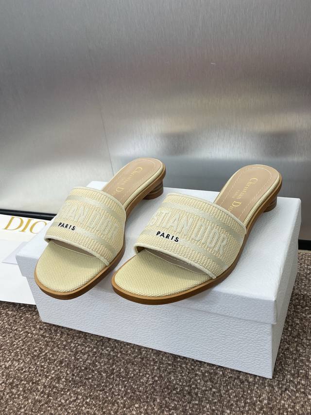 Factory Price: Flat Sole, Thick Heel, Dior 2025 Spring/Summer New Arrival Dway F