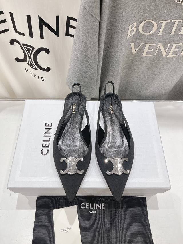 High-End Version, Celine 25Ss Early Spring's Most Beautiful Black And Silver Poi