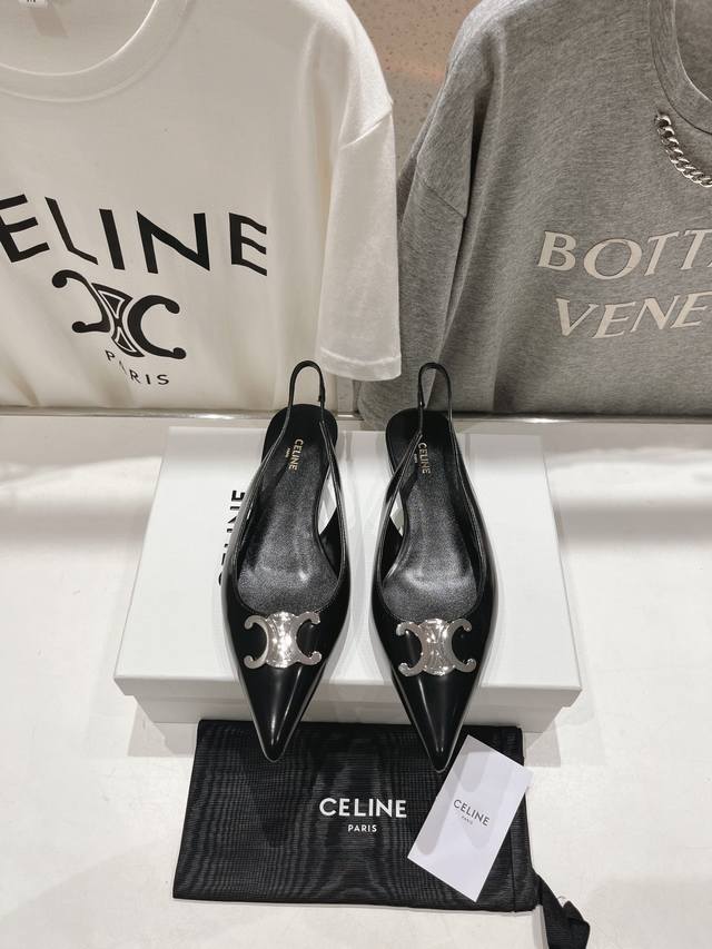 High-End Version, Celine 25Ss Early Spring's Most Beautiful Black And Silver Poi