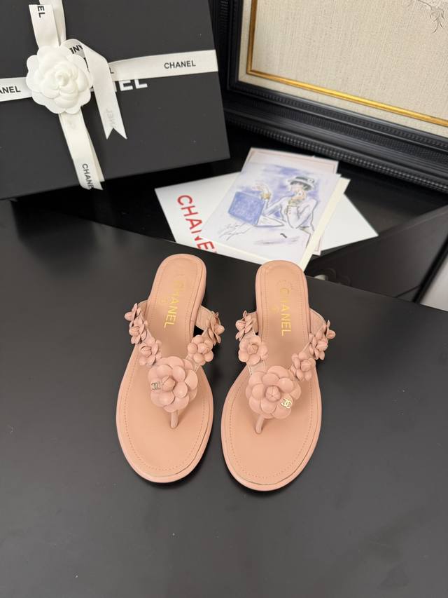 Available Now *25 Counter Genuine Version Official Catalog Size 35 36 37 38 39 3