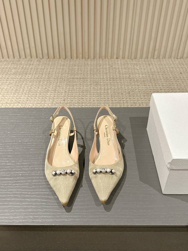 Factory Dior 2025 Spring And Summer Haute Couture Series New Paris Low-Heel Poin