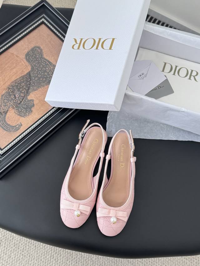 dior Dior 25 Spring And Summer New Mary Jane Single Shoes High Version High Q