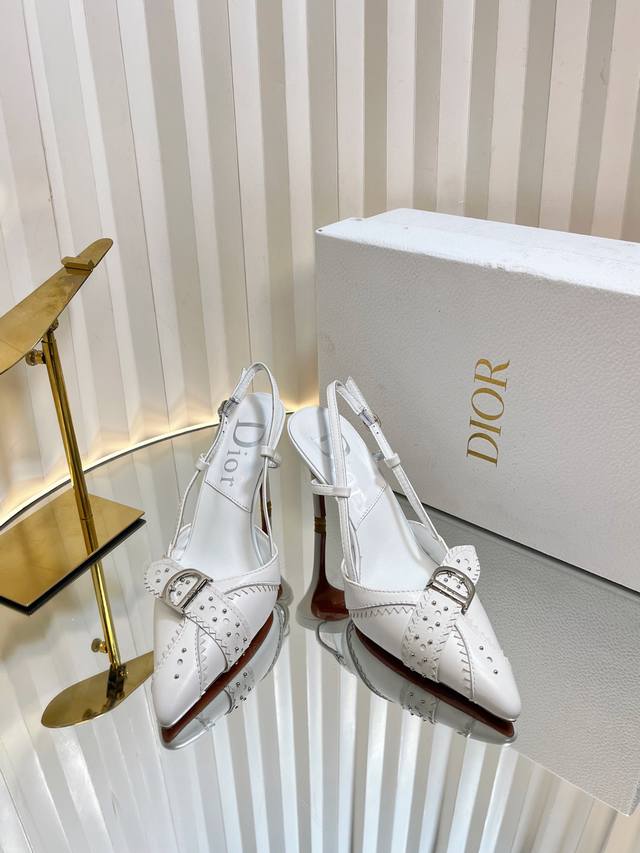 d*Ior Dior Classic Hit Series Fashion Punk Series. I Won't Tell You How Good
