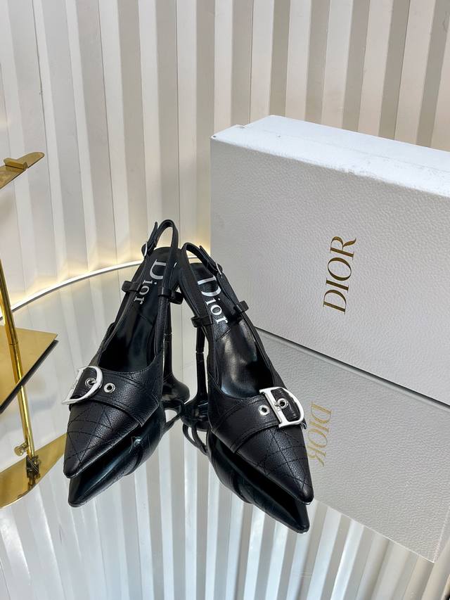 d*Ior Dior Classic Hit Series Fashion Punk Series. I Won't Tell You How Good