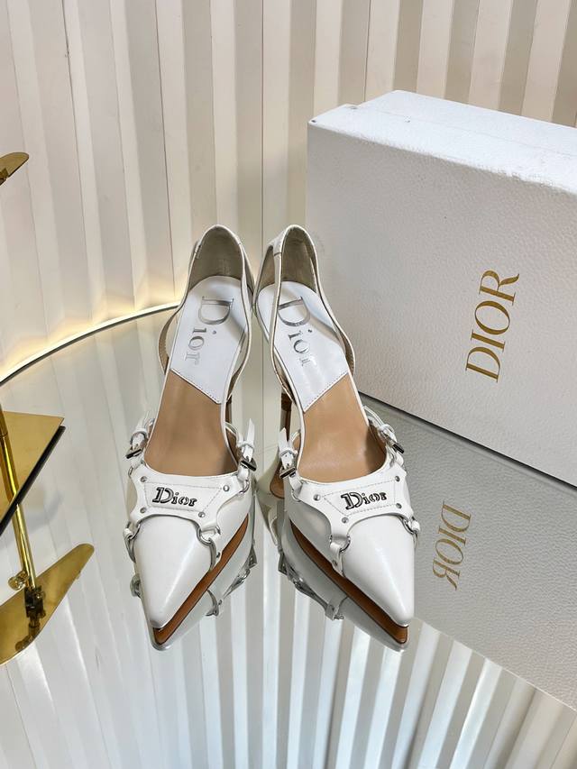 d*Ior Dior Classic Hit Series Fashion Punk Series. I Won't Tell You How Good