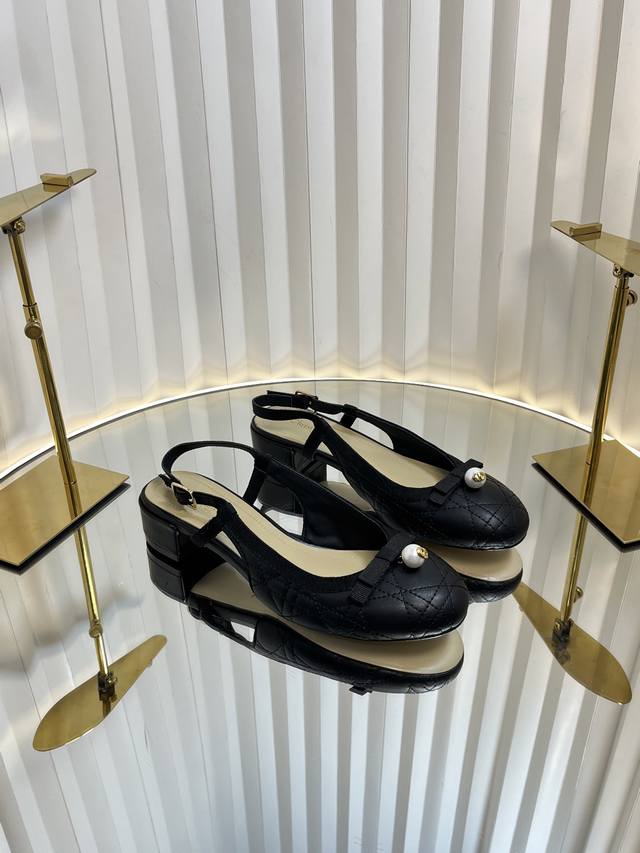 Dior 2025 Spring And Summer Haute Couture Series New Ballet Iconic Electric Embr