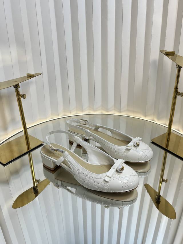 Dior 2025 Spring And Summer Haute Couture Series New Ballet Iconic Electric Embr