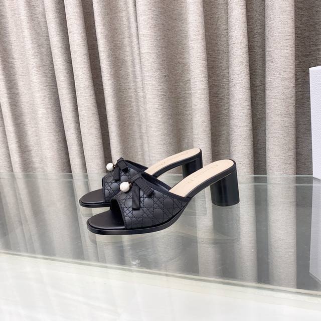 dior Dior 2025 Spring And Summer New Ballet Series Cylindrical Heel Electric