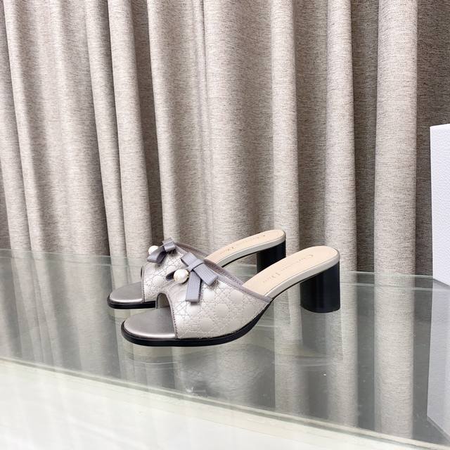 dior Dior 2025 Spring And Summer New Ballet Series Cylindrical Heel Electric