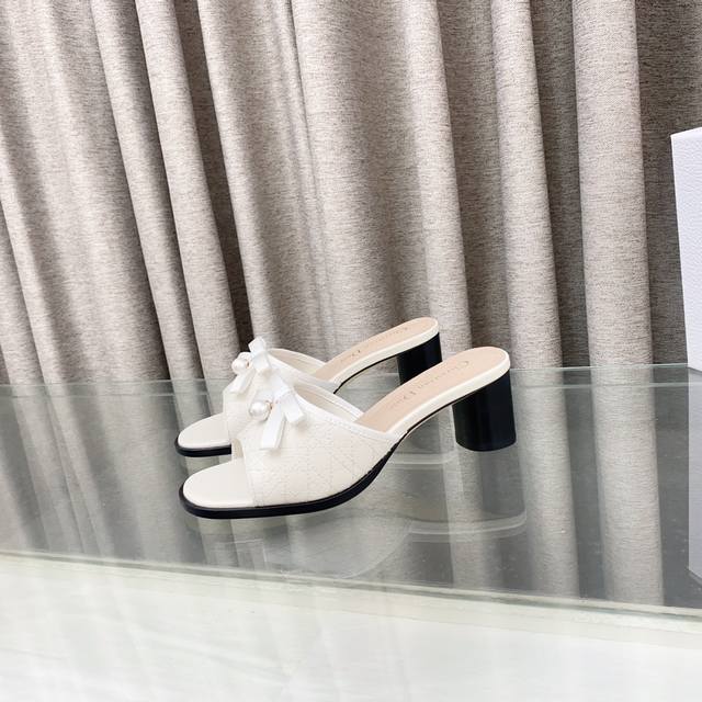 dior Dior 2025 Spring And Summer New Ballet Series Cylindrical Heel Electric