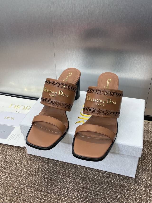 Factory P Price P Dior 2025 Spring And Summer New D-Lane Jelly Color Hollow Thic