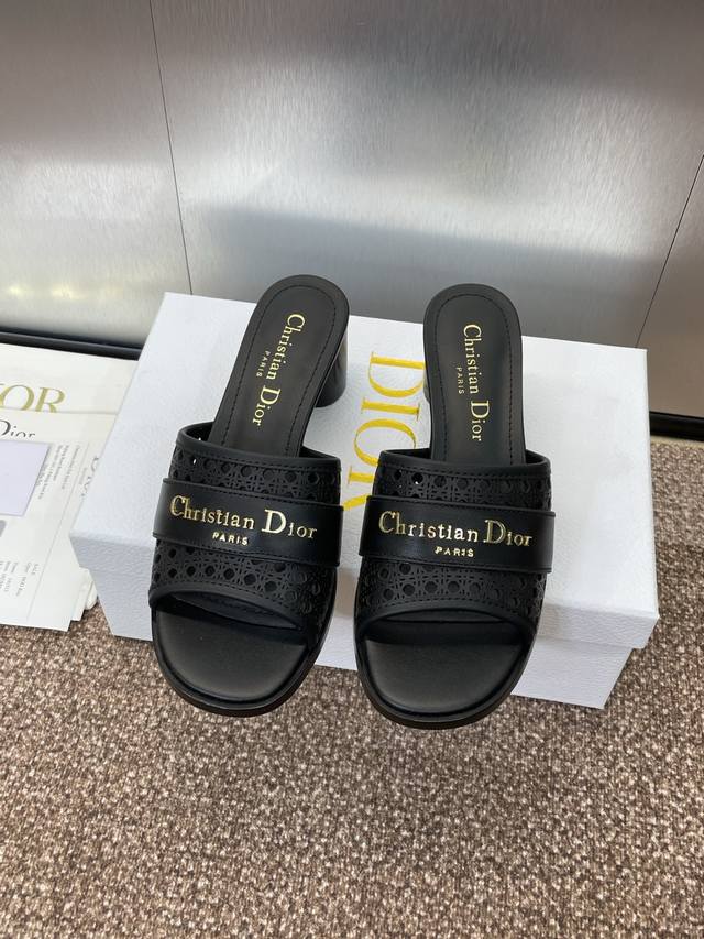 Factory P Price P Dior 2025 Spring And Summer New D-Lane Jelly Color Hollow Thic