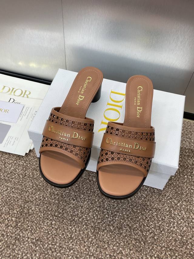Factory P Price P Dior 2025 Spring And Summer New D-Lane Jelly Color Hollow Thic