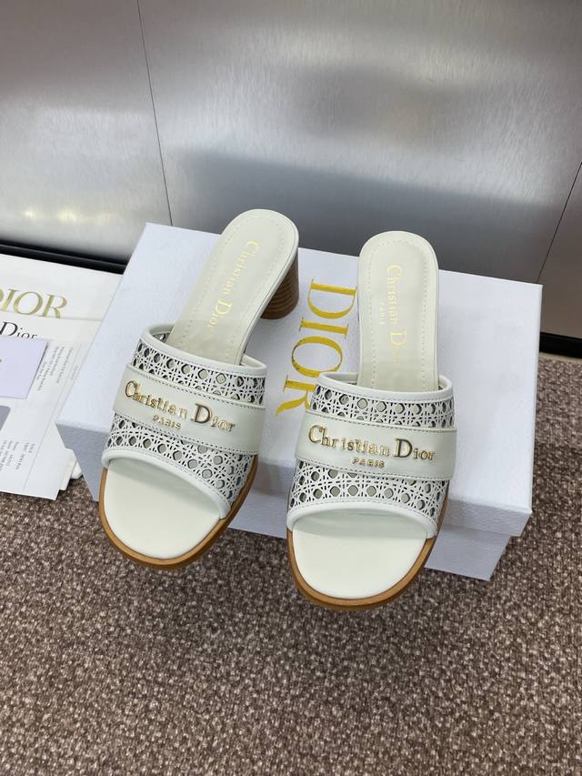 Factory P Price P Dior 2025 Spring And Summer New D-Lane Jelly Color Hollow Thic