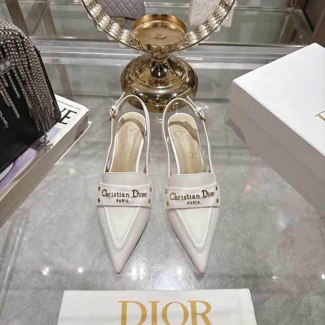 Factory 25Ss Early Spring New Dior D-My Hardware Letter Buckle Pointed Toe Kitte