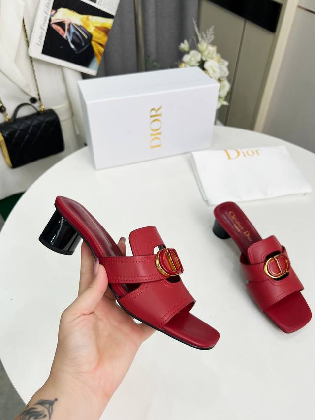 Dior Spring and Summer new cowhide surface sheepskin lining + double buckle heel