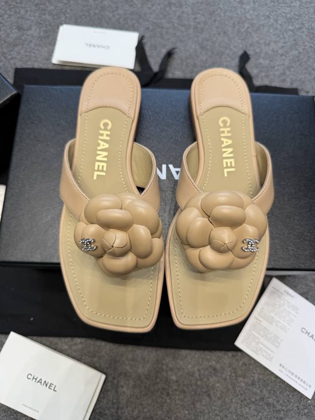 top version , the best-selling item in the online counters, the gentle little cu