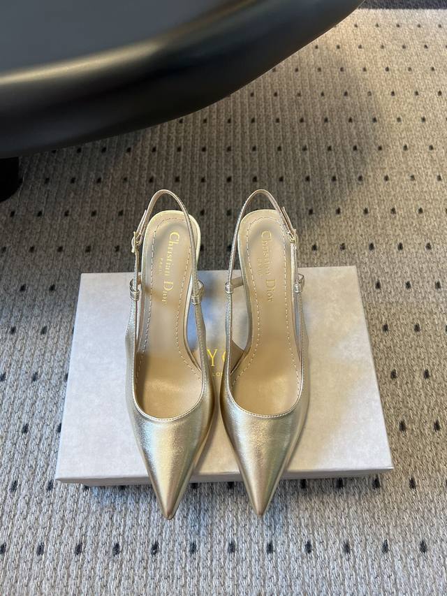 Top version Dior 25Ss new Tribales series cat heel pointed shoes for women Cd c