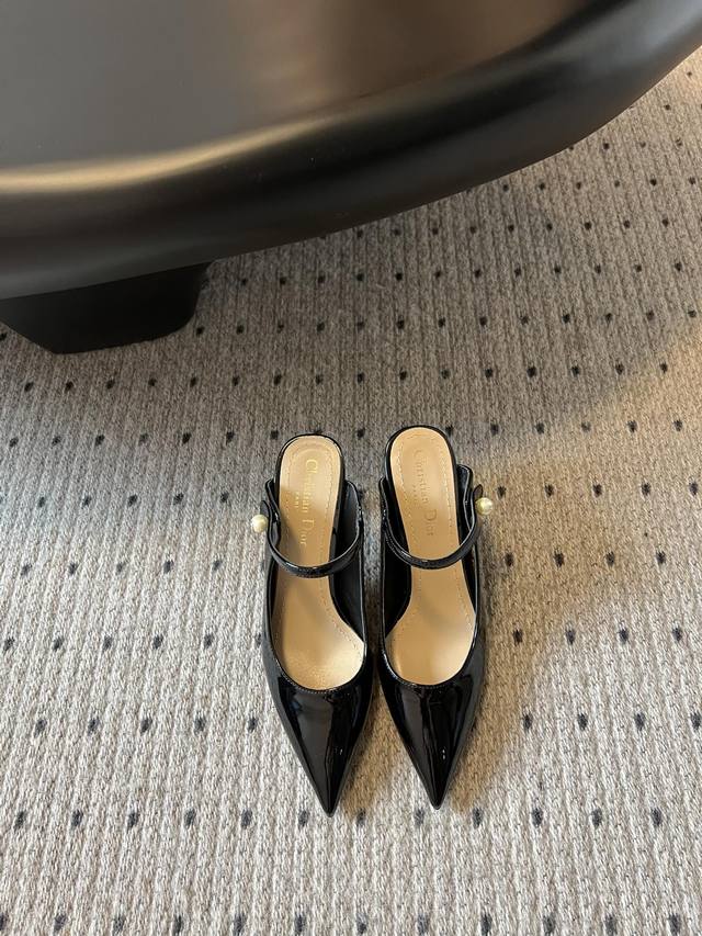 Top version Dior 25 Spring and Summer catwalk pointed toe shoes Cd celebrity st