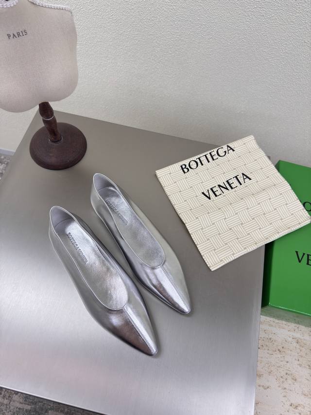 Bv Women's Sofia Ballet Shoes Leather Ballet Shoes Silver Family Elements Weavin