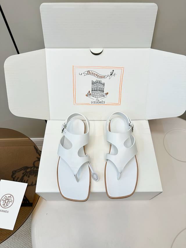 Premium Edition with Aircraft Case. These Herm