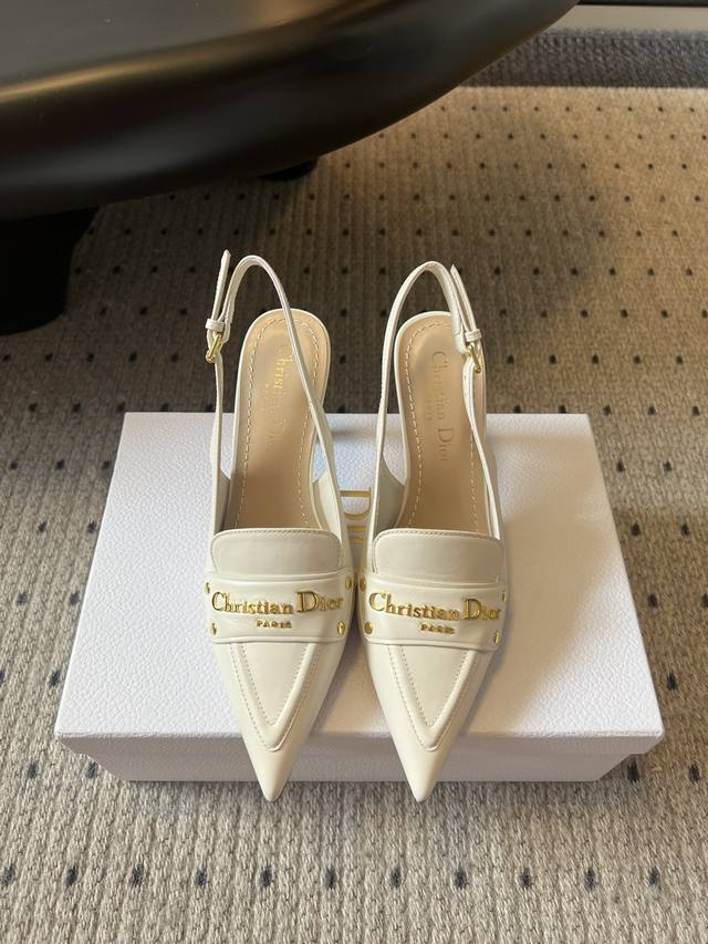 Premium Edition Dior 25Ss Spring/Summer New Dior Pointed-Toe High-Heeled Sandals