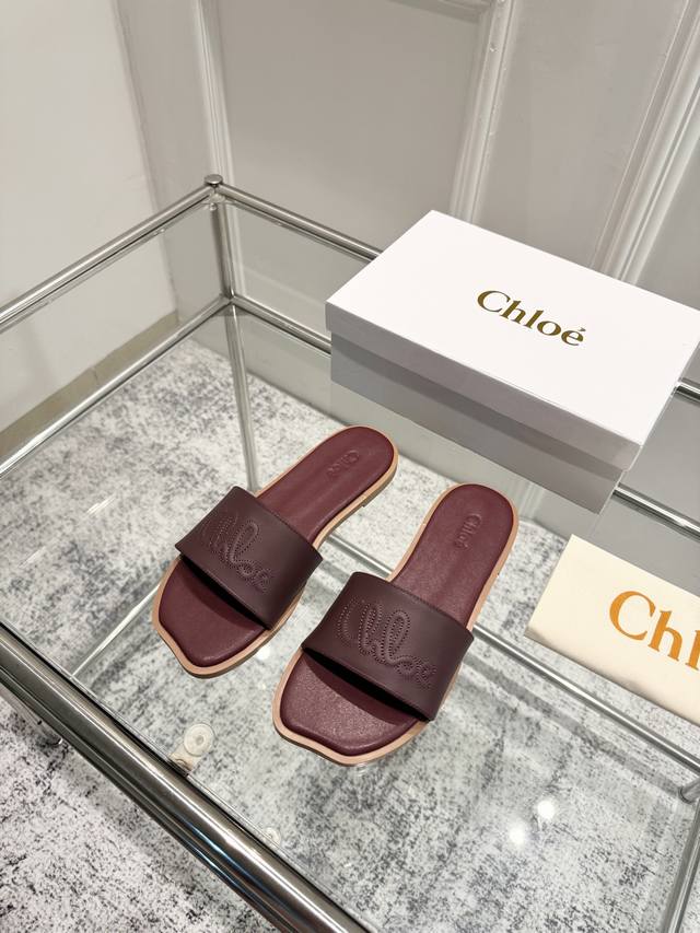 Premium Version: Chloe SS25 New Arrival ~ Chloe 2025 Spring/Summer New Arrivals