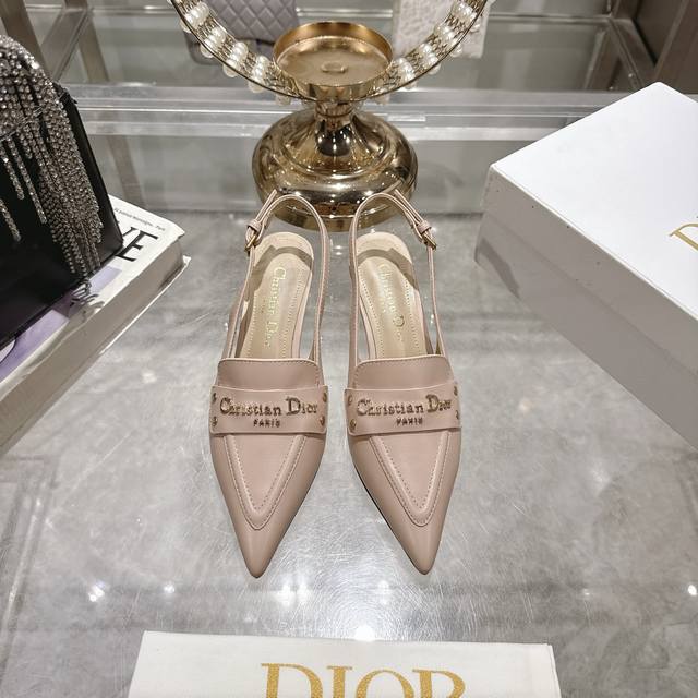 Factory 25Ss Early Spring New Dior D-My Metallic Buckle Pointed Toe Kitten Heel