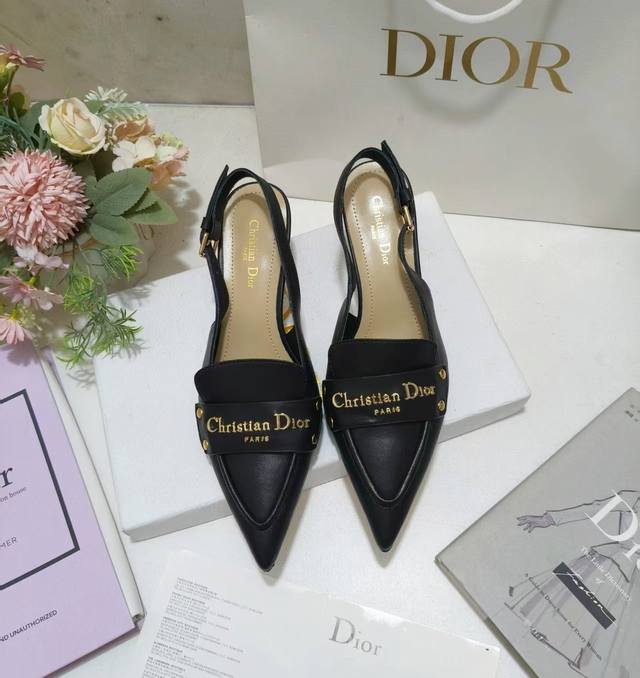 Factory Price: PP leather sole, rubber Dior Boy slingback pumps, a new addition