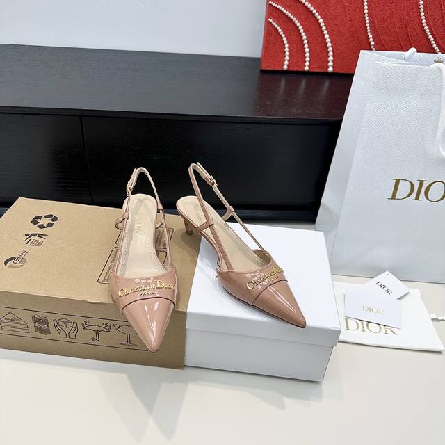 Purchasing version Dior 25 new CD letter buckle pointed toe kitten heel high he