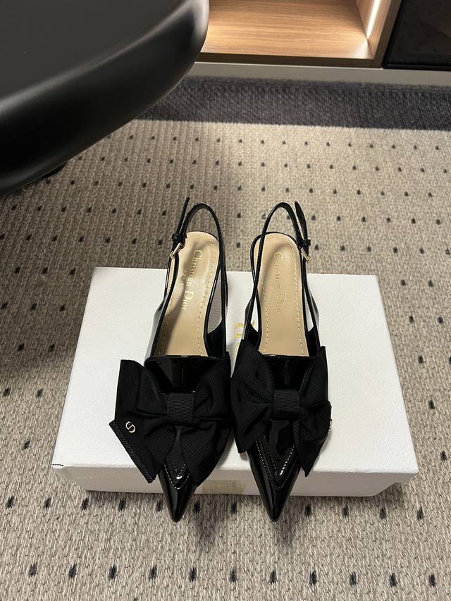 Top-of-the-line Dior 25Ss Spring/Summer new Dior pointed-toe high heels DDD. The