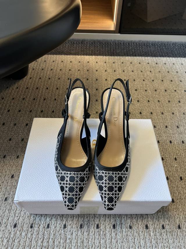 Top-of-the-line Dior 25Ss Spring/Summer new Dior pointed-toe high heels. These M