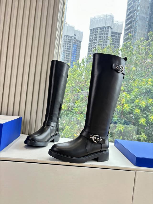 G588 What you see is what you get: Sw Autumn/Winter Boots! Stuart Weitzman ridin